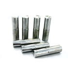 Tungsten Carbide HSS SKD11 Steel Punches Punch Die Set Punch Pin