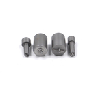 High Quality Gray TiCN Coating Screw Second Punch Customized