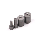 High Quality Gray TiCN Coating Screw Second Punch Customized