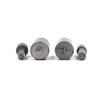 High Accuracy Screw Second Punch Fine Craftsmanship Without TiN Coated