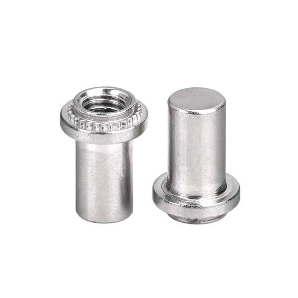 Precision Micro Screw With High Performance Customized Service Tiny Rivet Nuts For Water Conservancy Project